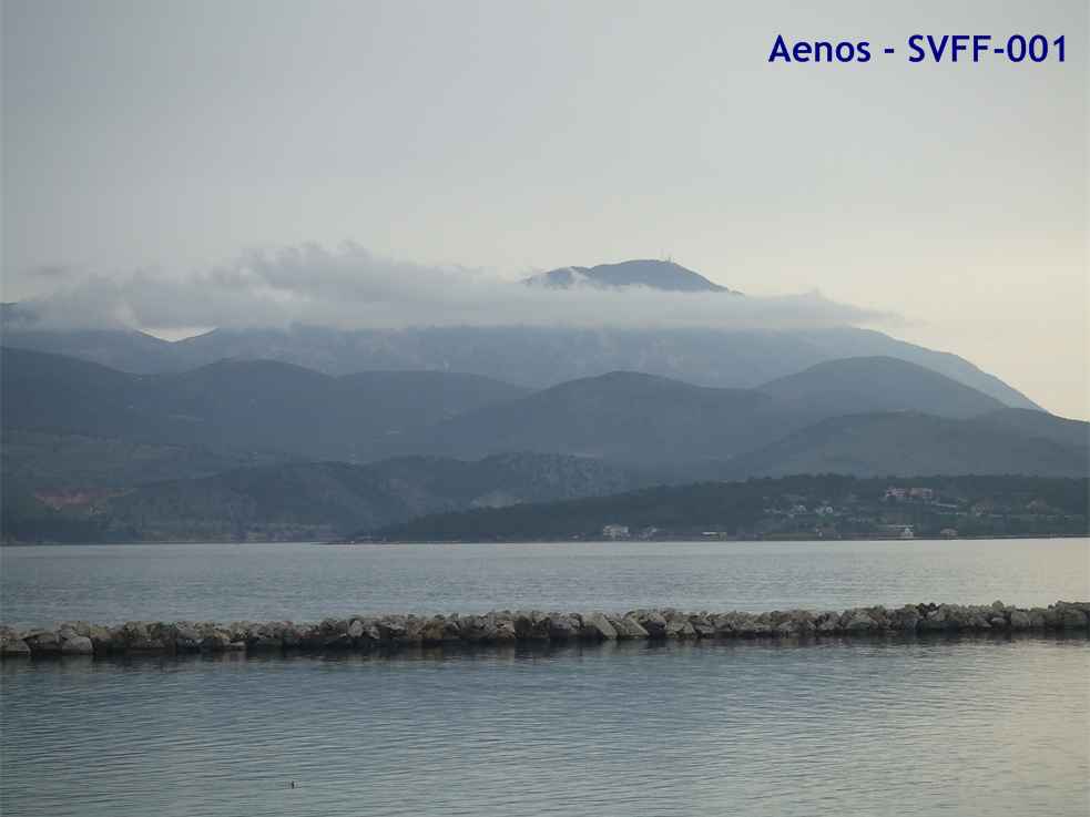 Aenos SVFF-001 aenos