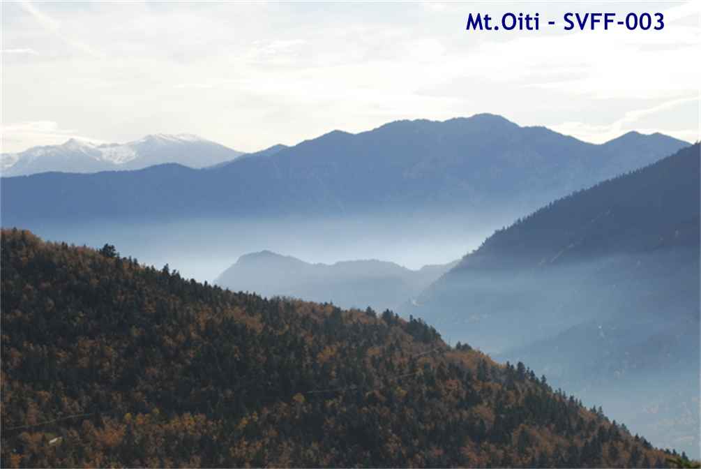 Mt.Oiti SVFF-003 oiti