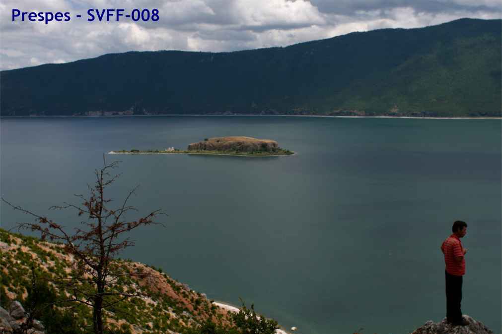 Prespes SVFF-008 prespes