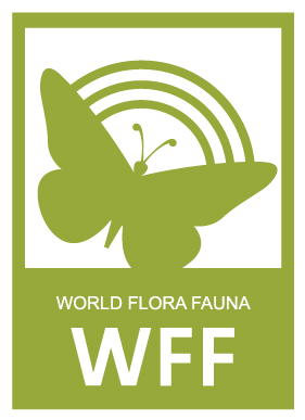 wff_logo